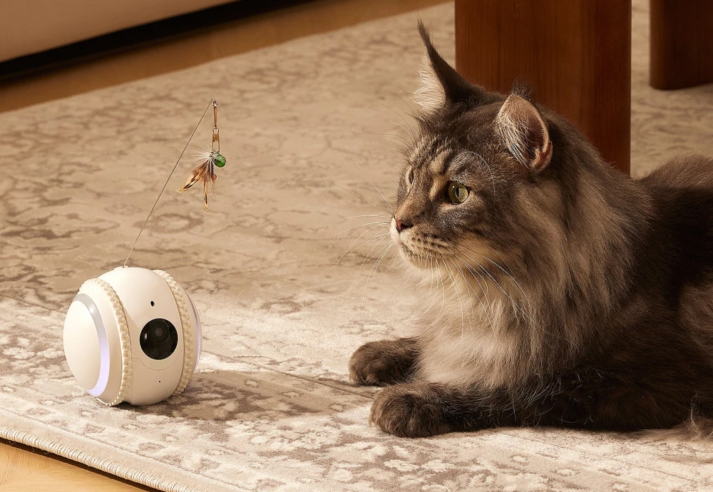 the best pet camera